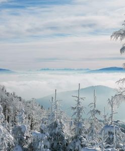 Beskidy. W góry wróciła zima. Warunki narciarskie dobre