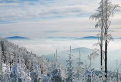 Beskidy. W góry wróciła zima. Warunki narciarskie dobre