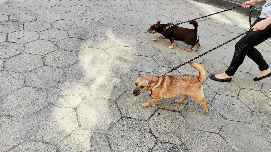 "Należy skończyć z utrzymywaniem fikcji"