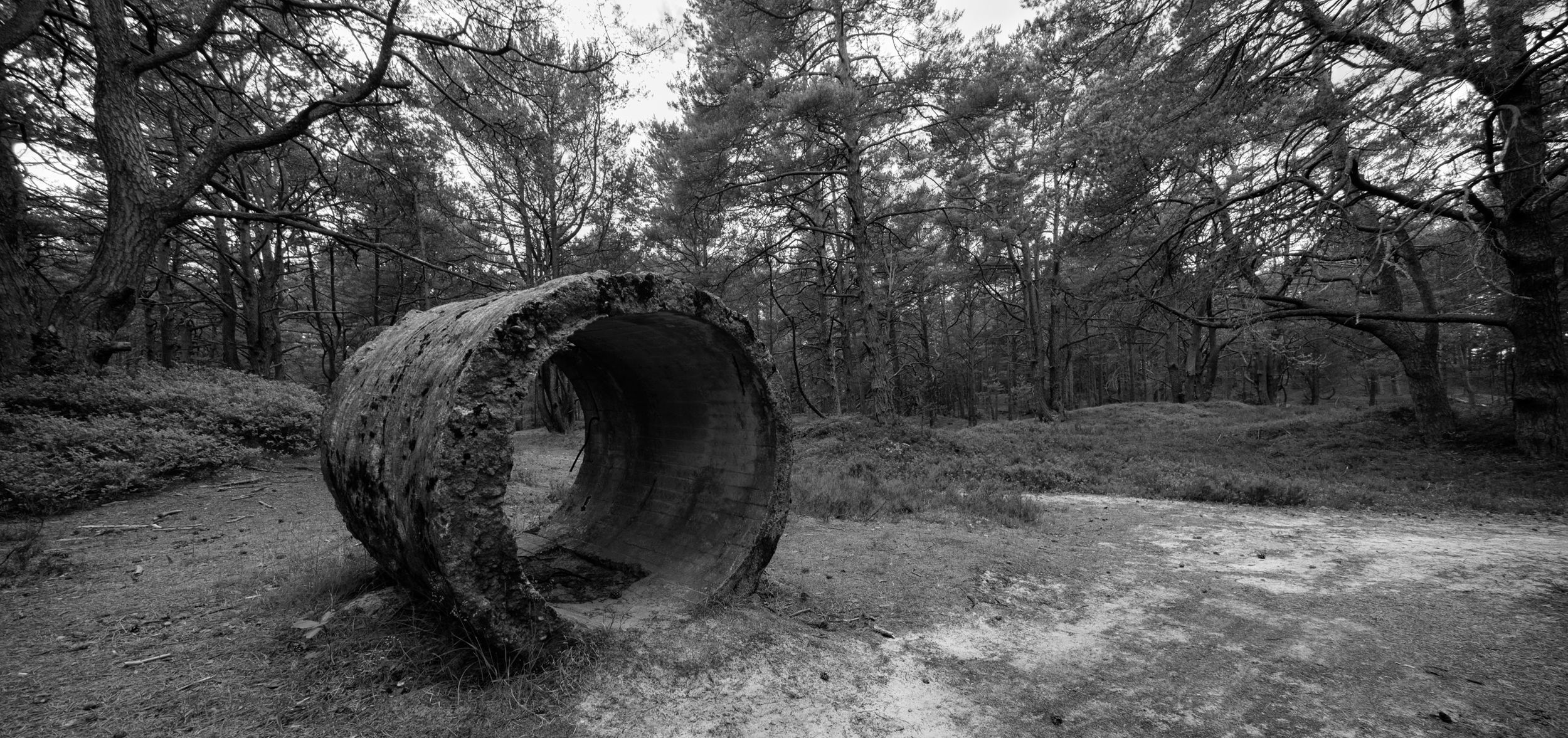 Voigtländer Ultra Wide Heliar Aspherical II 12 mm f/5.6 - Ultra szeroka maszyna do kreowania równoległej rzeczywistości 43