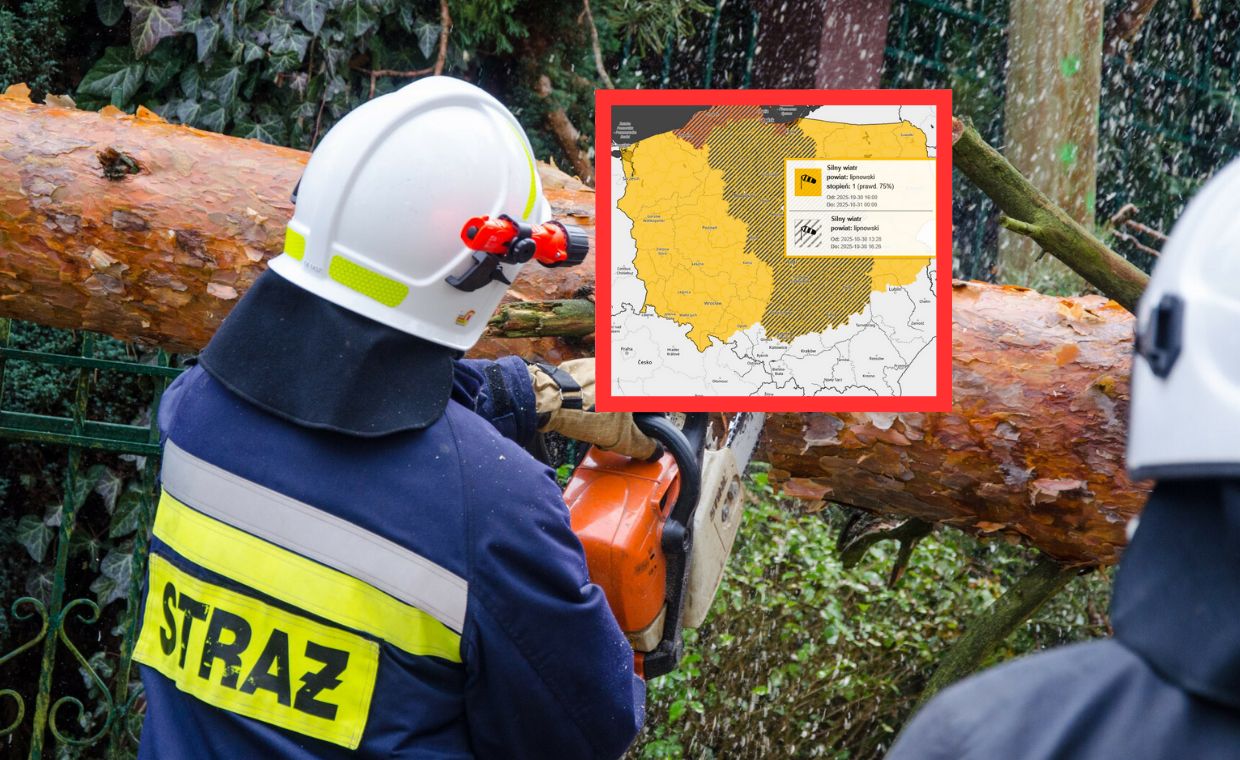 wiadomości,aktualności,WP Wiadomości Silne wichury nad Polską. Są osoby ranne