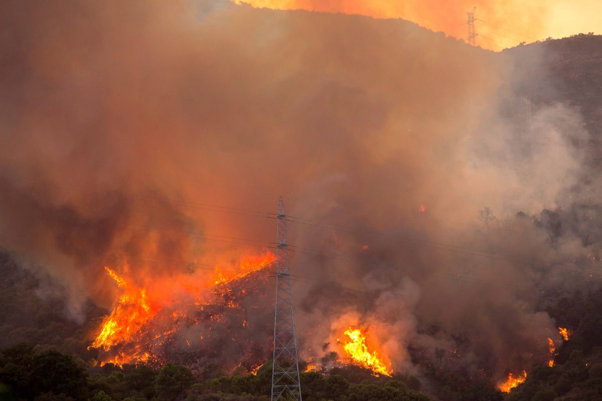 Pożary trawią Hiszpanię. Zginął strażak walczący z żywiołem 