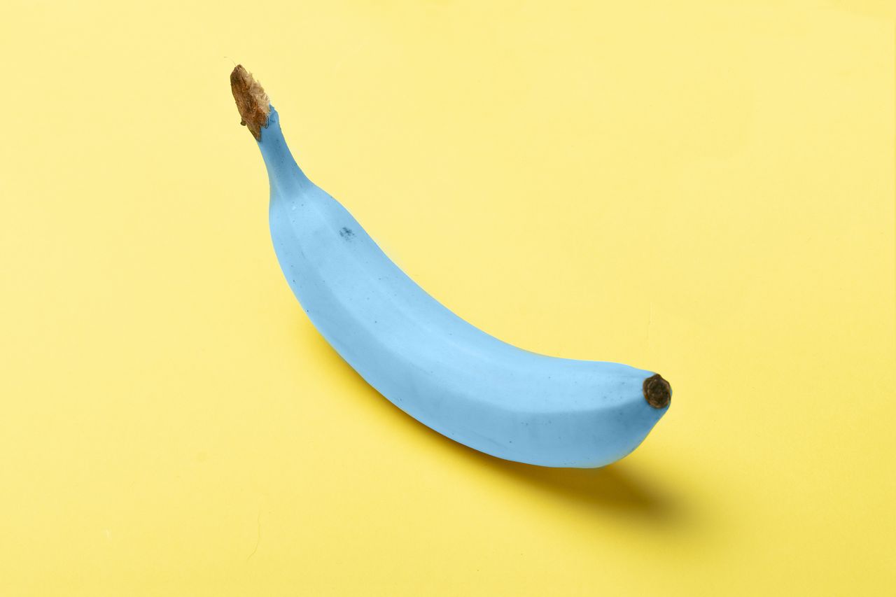 Blue java bananas: The internet's sweet, vanilla-tasting surprise