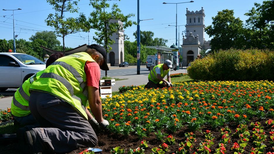 Warszawa. To już wiosna. Za chwilę miasto rozkwitnie tysiącem kwiatów