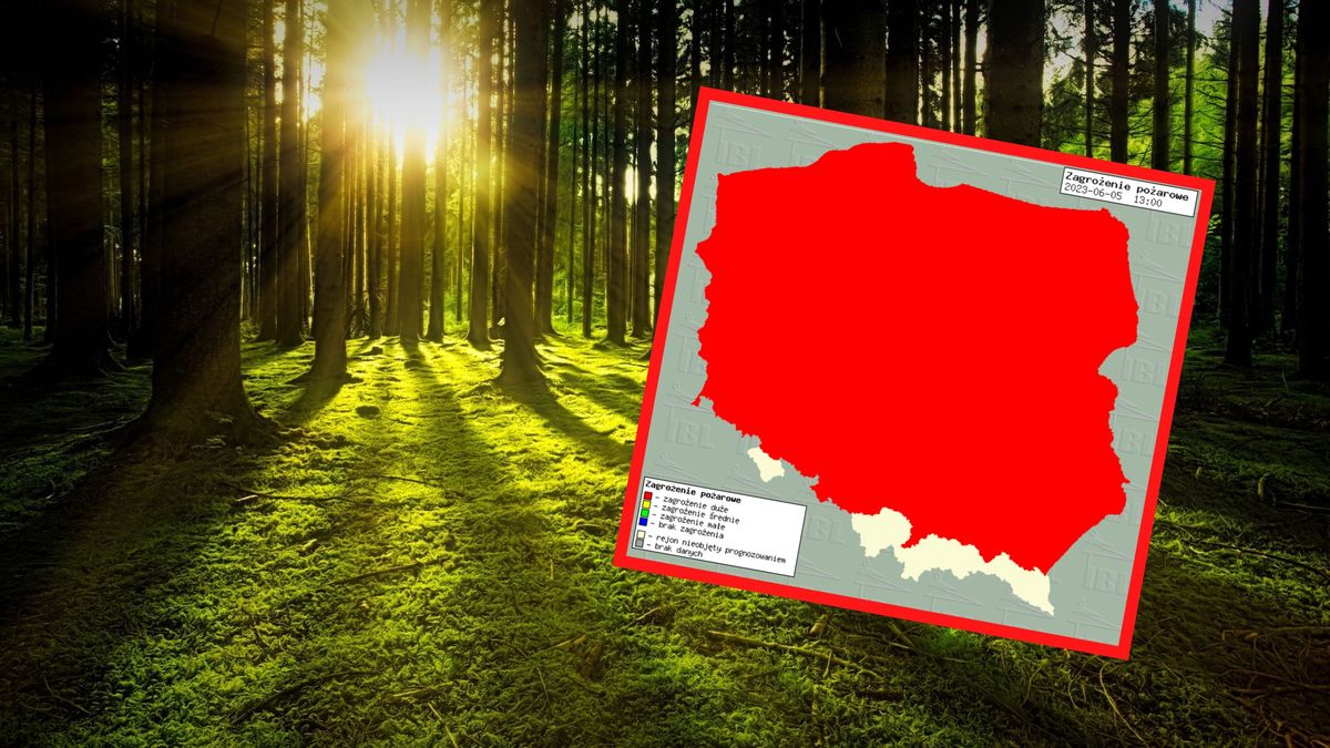 Sytuacja w lasach jest bardzo poważna