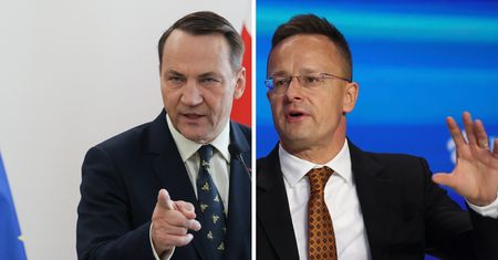 Sikorski odpowiada Węgrom. "To się nazywa samoobrona"