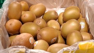 Kupiłam w Kauflandzie za mniej niż 4 zł. Jest słodsze i delikatniejsze niż kiwi zielone