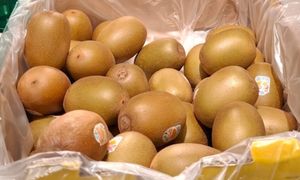 Kupiłam w Kauflandzie za mniej niż 4 zł. Jest słodsze i delikatniejsze niż kiwi zielone