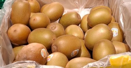 Kupiłam w Kauflandzie za mniej niż 4 zł. Jest słodsze i delikatniejsze niż kiwi zielone