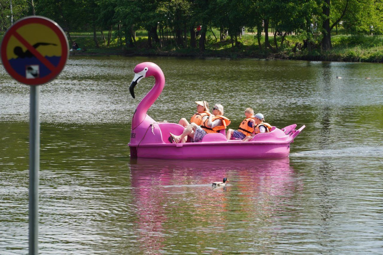 Piknik na &#34;Młynku&#34;
