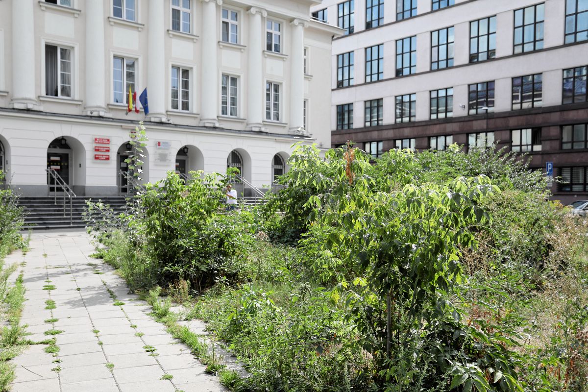 Warszawa. Urząd Dzielnicy Warszawa Śródmieście