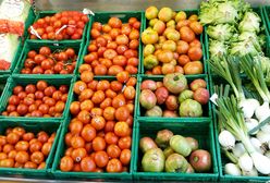 Amerykanie chcą poprzez geny przywrócić "stary smak pomidorów". Polscy hodowcy: po co? Wystarczy do nas przyjechać