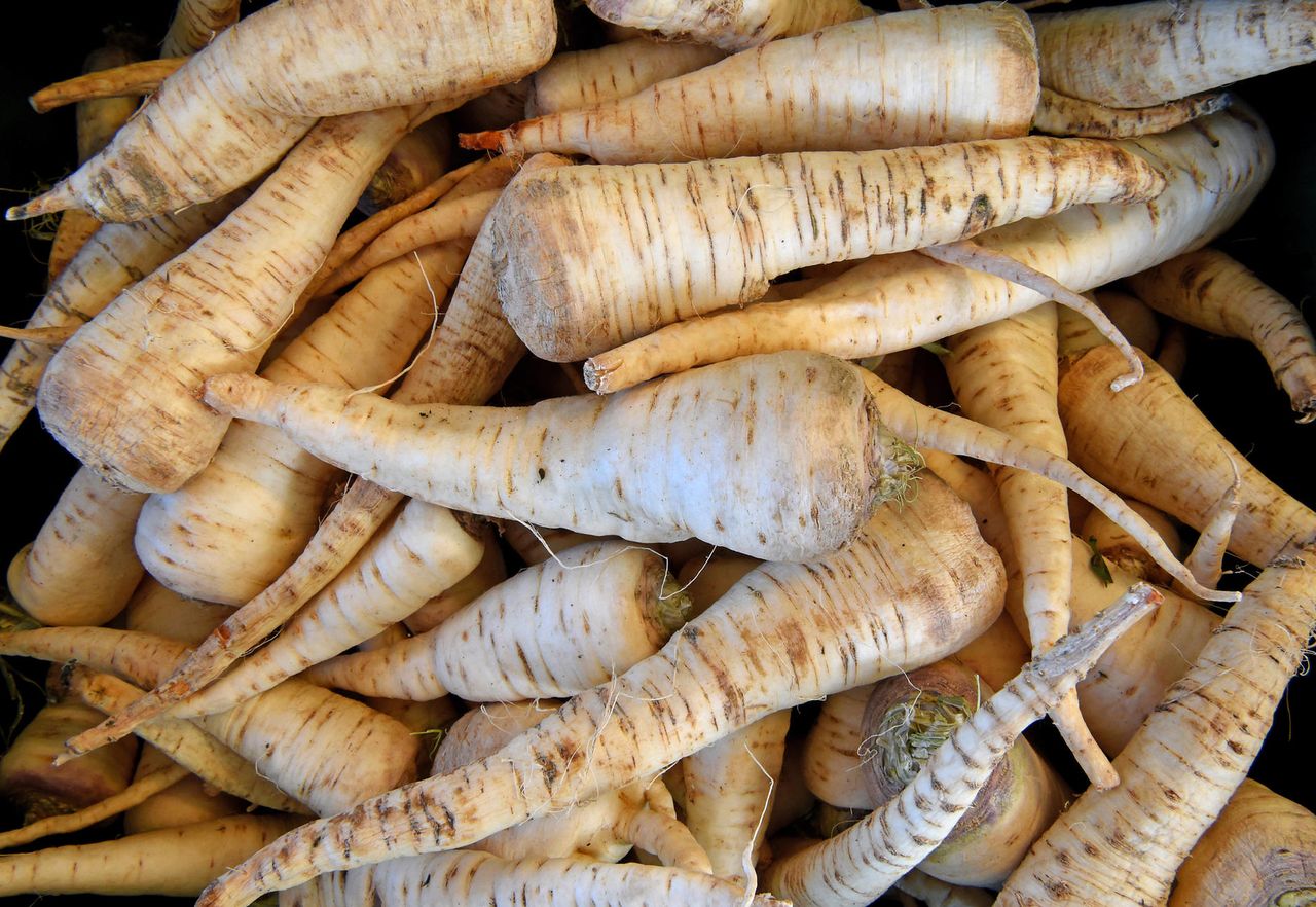 Rekordowe ceny pietruszki. Rolnicy: "No nic, tylko inwestować w chłodnie i obsiać wszystko pietruszką"