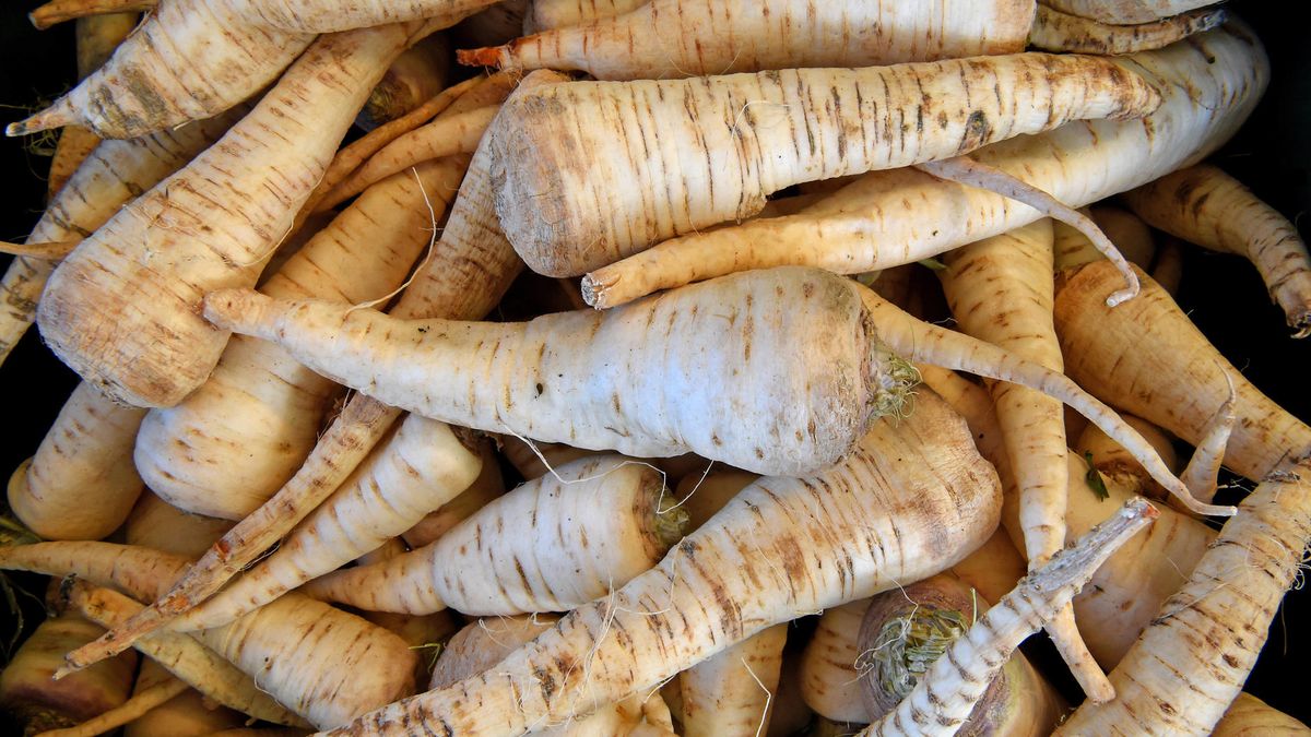 Cena kilograma pietruszki w hurcie dochodzi do 9 zł za kilogram.