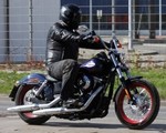 Harley-Davidson Street Bob - zy do koci