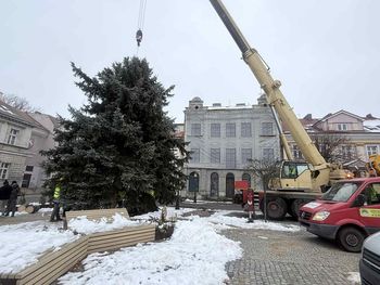 Konin: Choinka już stoi. "Drzewko" ma kilkanaście metrów i waży 3 tony