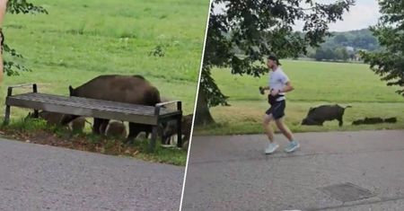 Mieszkańcy Krakowa przeżyli szok. Wideo trafiło do sieci