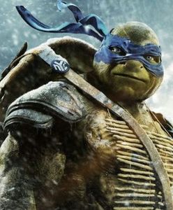 Wojownicze Żółwie Ninja w Twoim mieście