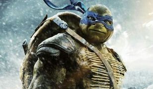 Wojownicze Żółwie Ninja w Twoim mieście