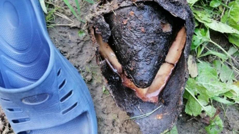 Należy pamiętać, by nie dotykać czy rozbrajać pocisku, trzeba natychmiast zawiadomić policję.