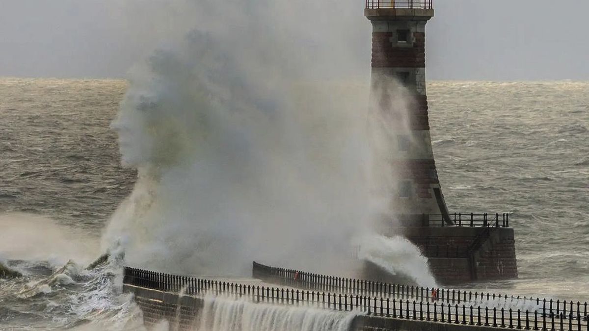 Internauci dopatrzyli się w tym zdjęciu podobizny królowej Elżbiety II.