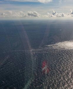 Pieskow bezradnie się broni. "Prawda o Nord Stream wielu zaskoczy"