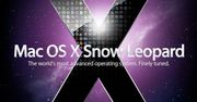 5 rzeczy, których nie wiesz o Snow Leopardzie