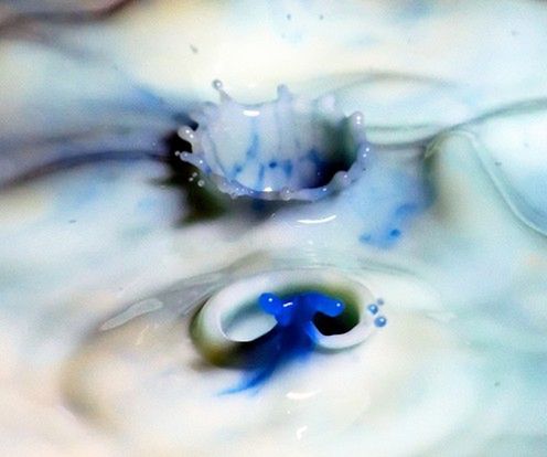 Ułamek sekundy zatrzymany w kadrze - najlepsze fotografie High Speed 34