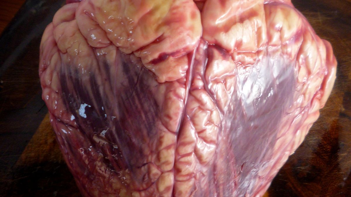 Surowe serce z wołowiny nowozelandzkiej