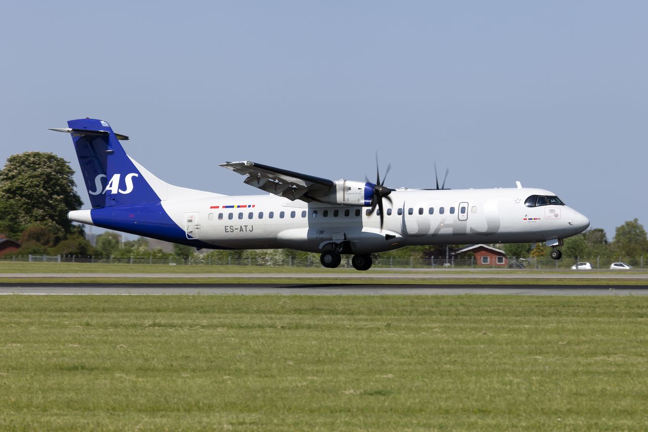 A Scandinavian airline plane, flying from Oslo to Malaga, had to land in Copenhagen due to the presence of a mouse on board.