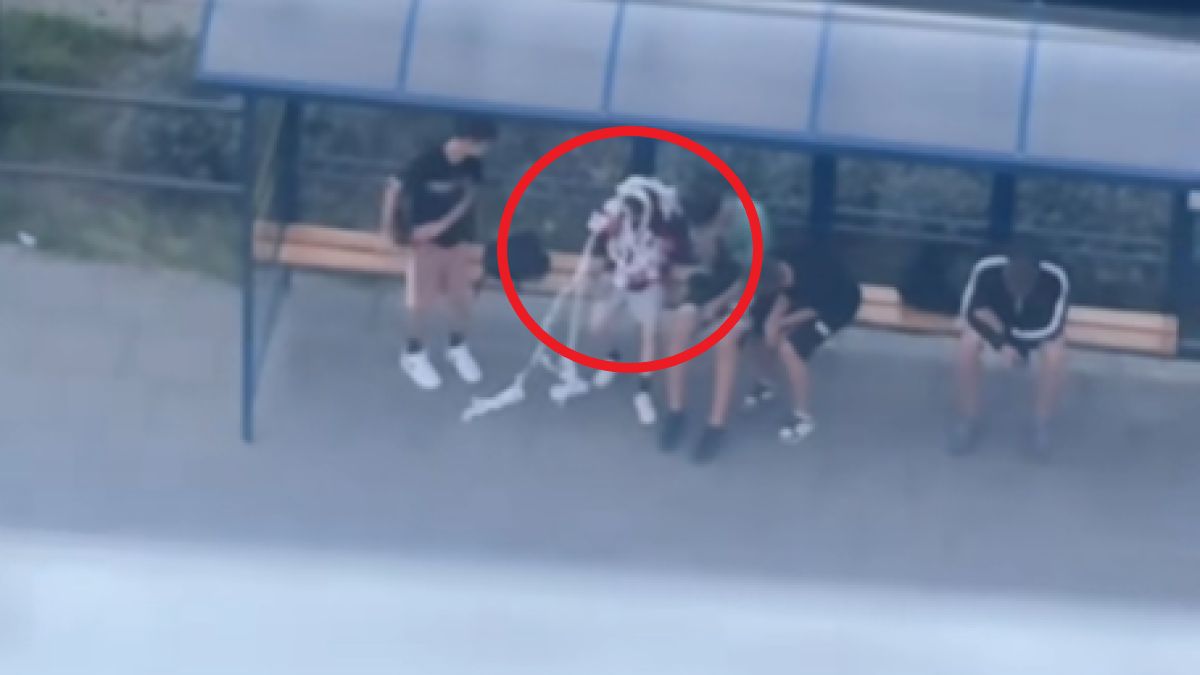 Bulwersujące sceny na przystanku w Bydgoszczy