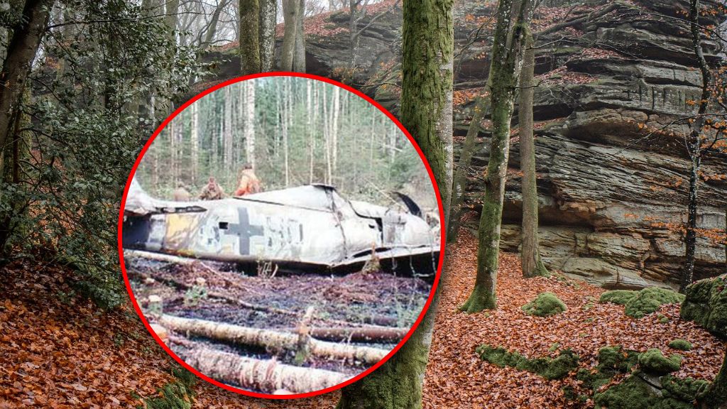 Odnaleziono go po ponad 50 latach. 