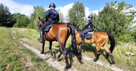 Konie strzegą granicy z Białorusią. Czy to skuteczne?