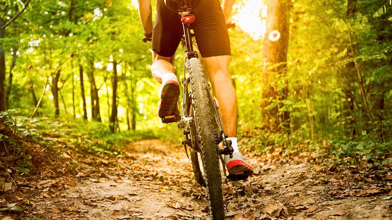 Kunowo Rowerowo – rodzinny rajd i festyn już 8 czerwca