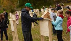 W Finlandii dostawca energii elektrycznej wybudował hotel dla pszczół