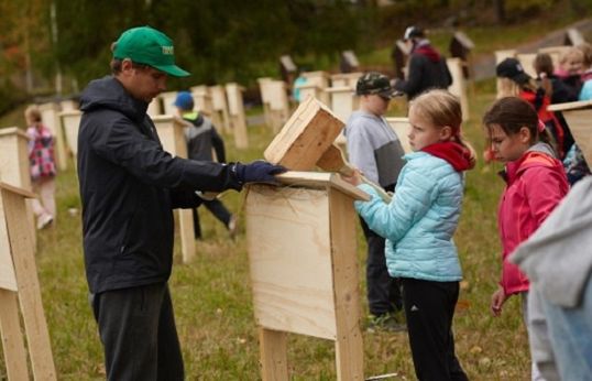 W Finlandii dostawca energii elektrycznej wybudował hotel dla pszczół