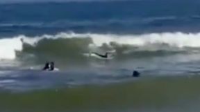 Mógł utonąć wraz z dziećmi. Do sieci trafiło przerażające wideo