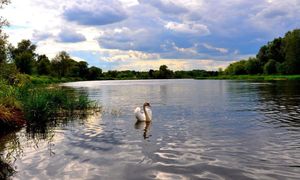 150 mln zł na trasę. Tereny "jeszcze dzikie". Inwestycja rusza