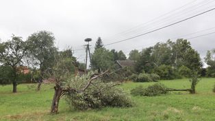 Deszcze i burze w całym kraju. Pogoda w weekend znowu rozczaruje
