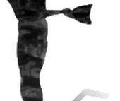 Wręczono Feliksy Warszawskie