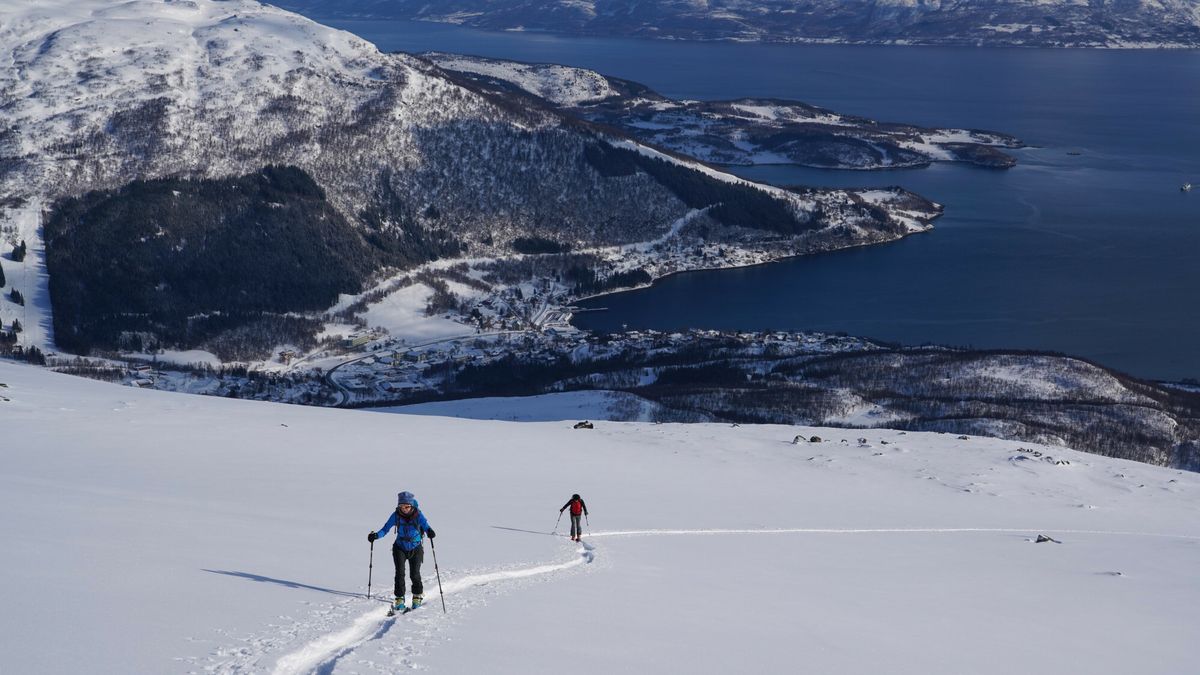 Robert Harding ftp Jul 2019
Ski touring in the Lyngen Alps, Lyngseidet, Lyngen peninsula, Troms County, Norway, Scandinavia, Europe
Carlo Morucchio