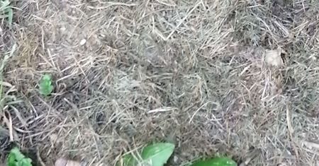 Niesamowite odkrycie na polu. Rolnik z Sulęcina natychmiast wezwał służby