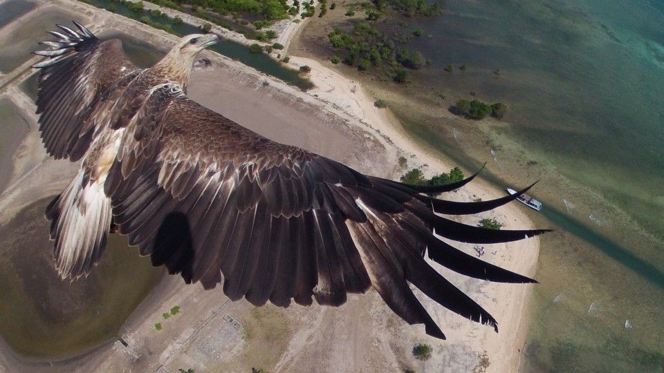 Najlepsze zdjęcia wykonane z… dronów! 1