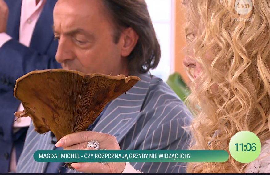 Żarty o "MACANIU GRZYBA" w "DDTVN"