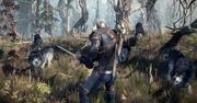 Twórcy Wiedźmina 3 chcą zdefiniować na nowo gatunek RPG i znów ukrywają wiadomość do fanów w zwiastunie
