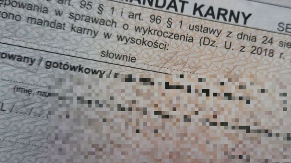 Fot. Licencjodawca