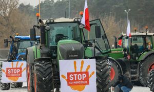 Coraz bliżej umowy UE-Mercosur. Tak oceniają ją polskie firmy