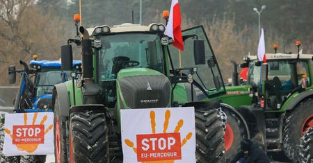Coraz bliżej umowy UE-Mercosur. Tak oceniają ją polskie firmy