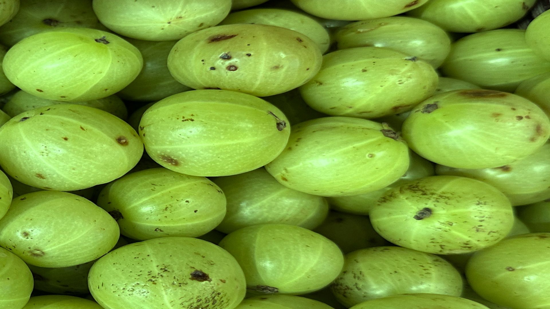 Śliwiec wspomaga prawidłowe funkcjonowanie serca i regulację ciśnienia krwi.