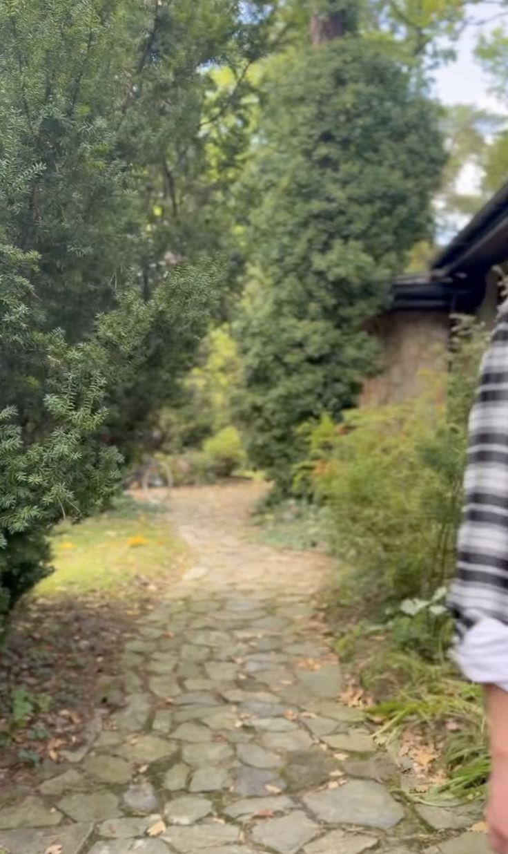 Ogród Damiana Michałowskiego